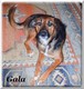 onix_vlc