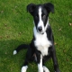 Uschi_ch