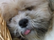mady_0206