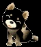 AkiraleShiba