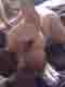 nettoyeuze