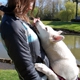 Kimiko_Akita