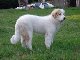 jacky44750