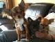 aurore.minette