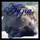 Amylouve