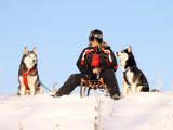 Le musher dans un attelage de chiens de tra&icirc;neau