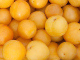 Des mirabelles