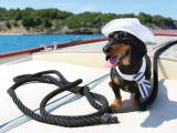 Crusoe sur un bateau et portant une tenue de marin