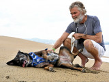 Tim Shaddock sur une plage en train de caresser Bella, la chienne errante avec qui il a dérivé pendant 3 mois