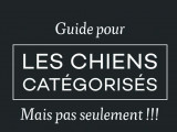 « Guide pour les chiens catégorisés, mais pas seulement !!! » (Fabien Grimaldi, 2020)