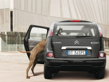 Une affiche de publicité pour la Citroën C3 Picasso avec un chien Dogue Allemand et un chien Chihuahua