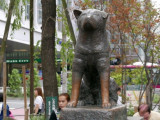 La statue d’Hachikò près du carrefour de Shibuya à Tokyo (Japon)