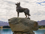 La statue de Friday, le Border Collie de James Mackenzie, réalisée par Innes Elliott de Kaikoura