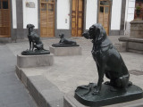 Les sculptures de chiens de la plaza Santa Ana de Las Palmas (îles Canaries, Espagne)