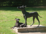 La statue d'un chien Xoloitzcuintle dans le jardin du musée Dolores Olmedo à Mexico (Mexique)