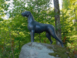La statue du chien Gelert, réalisée par Mary Anne Barkhouse et installée à Haliburton (Canada)