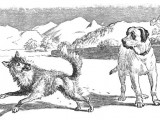 Illustration en noir et blanc de la fable « Le Loup et le Chien », de Phèdre