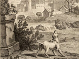 Illustration de la fable « Le Chien à qui on a coupé les oreilles », de Jean de La Fontaine