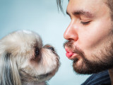 Un chien aime-t-il forcément les câlins ?