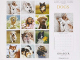 Offrir Un calendrier avec un chien en cadeau