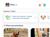 Une capture d'écran de l'application Hundeo avec le nom d'un chien ainsi qu'un programme pour l 'éduquer