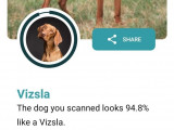 Une capture d'écran de l'application Dog Scanner montrant le résultat de l'analyse d'une photo d'un chien